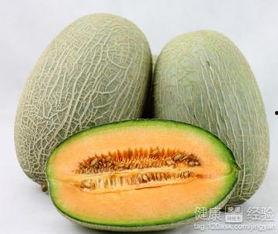 吃牛肝菌可以吃哈密瓜吗