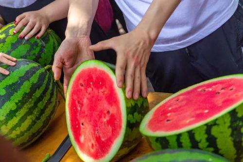 吃瓜学校山东,揭秘校园里的独特文化现象