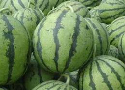 吃瓜提高代谢吗,轻松提升新陈代谢