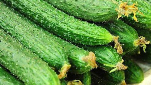 黃瓜头怎么吃,黄瓜头的美味吃法揭秘