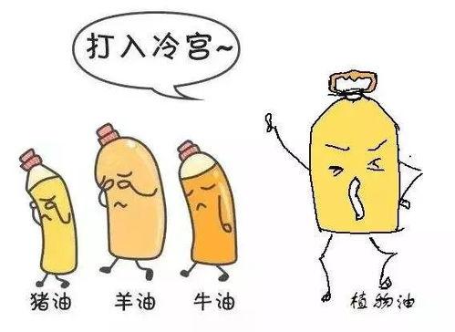 呆瓜天天都吃,揭秘天天吃背后的生活点滴