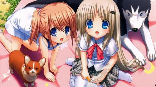 吃瓜菌动漫解说,带你领略二次元世界的精彩瞬间