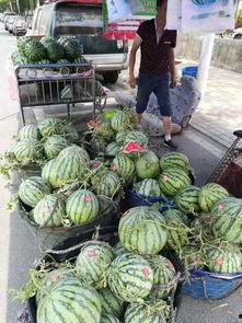 交院吃瓜事件,揭秘校园网络舆论风波