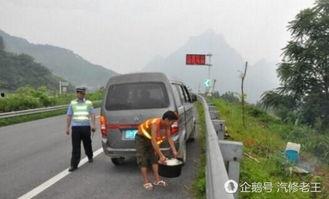 高速公路吃瓜,揭秘高速路上的奇闻轶事