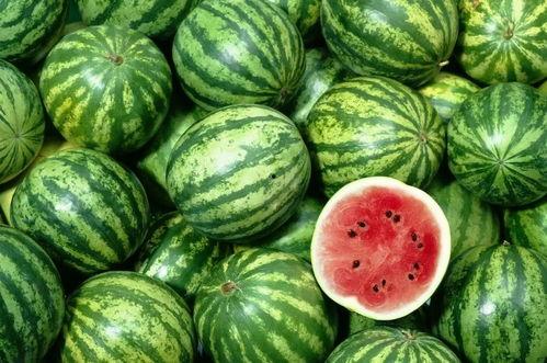 顶尖点唱吃瓜,揭秘吃瓜群众的狂欢盛宴